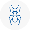 Ant Removals In Swadlincote