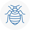 Bed Bug Extermination In Swadlincote