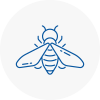 Bee Nest Removal Swadlincote