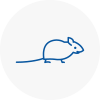 Mice Exterminators In Swadlincote