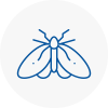 Moth Control Specialists In Swadlincote
