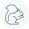 Swadlincote Rodent Removals